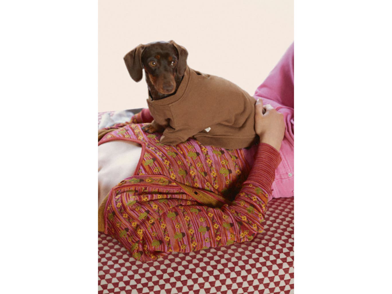 Zara-Pet-dog-Sweatshirt