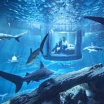 dormire-tra-gli-squali-nell-acquario-di-parigi-con-airbnb