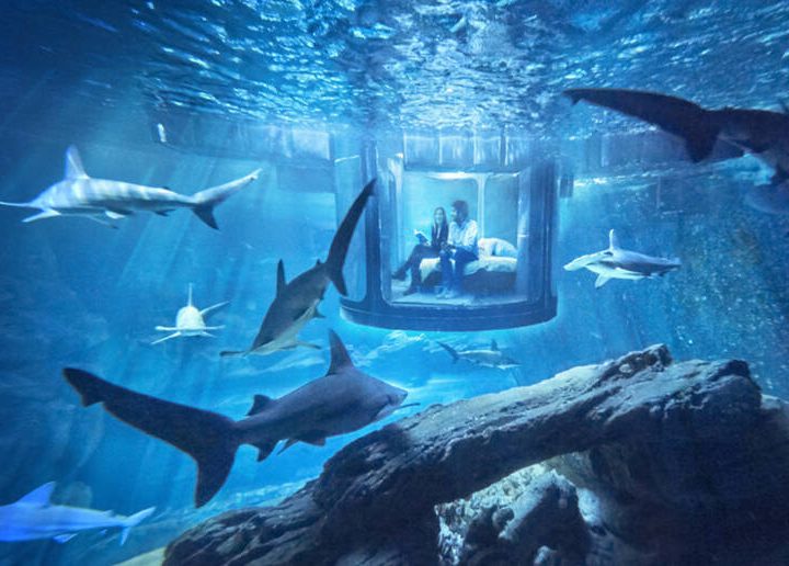 dormire-tra-gli-squali-nell-acquario-di-parigi-con-airbnb